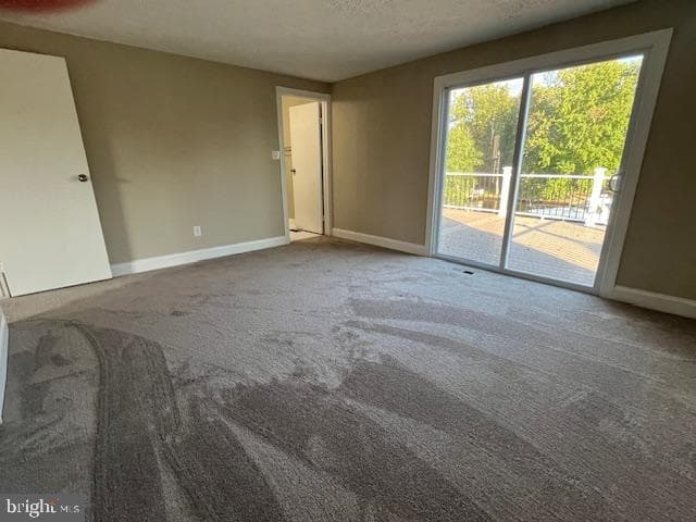 107 Shell Cove Court photo 33