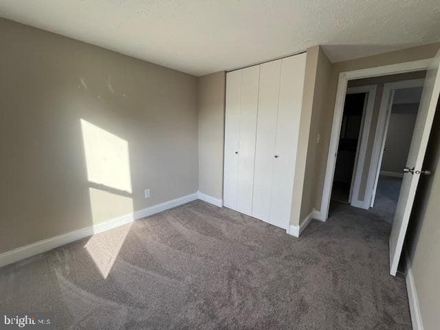 107 Shell Cove Court photo 38