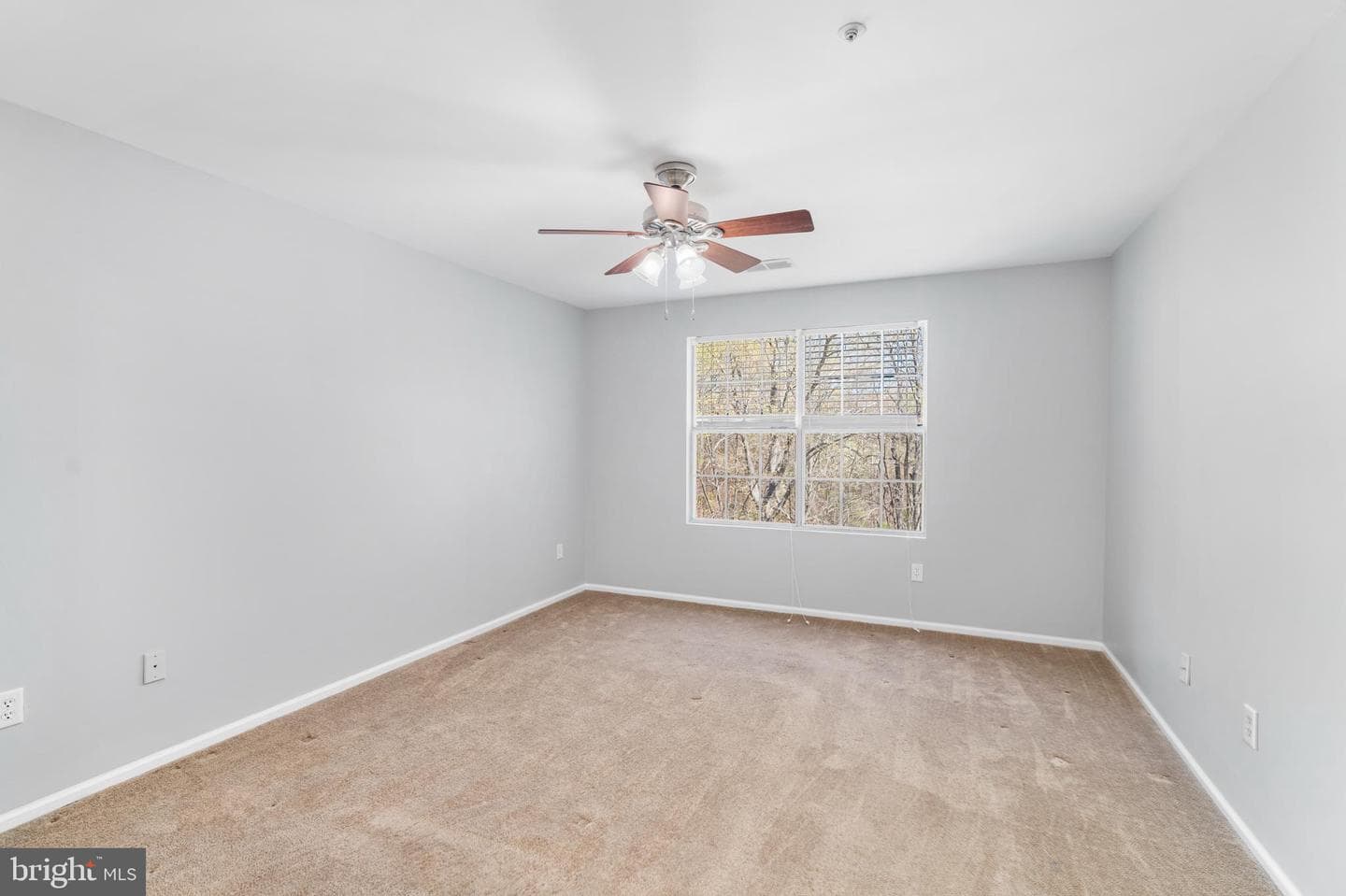 294 Canterbury Road #294-L photo 5