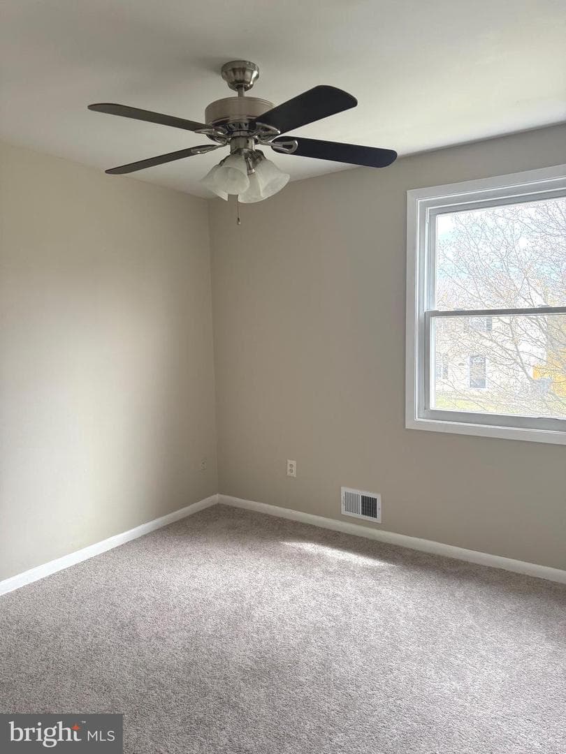 116 Stillmeadow Drive photo 18