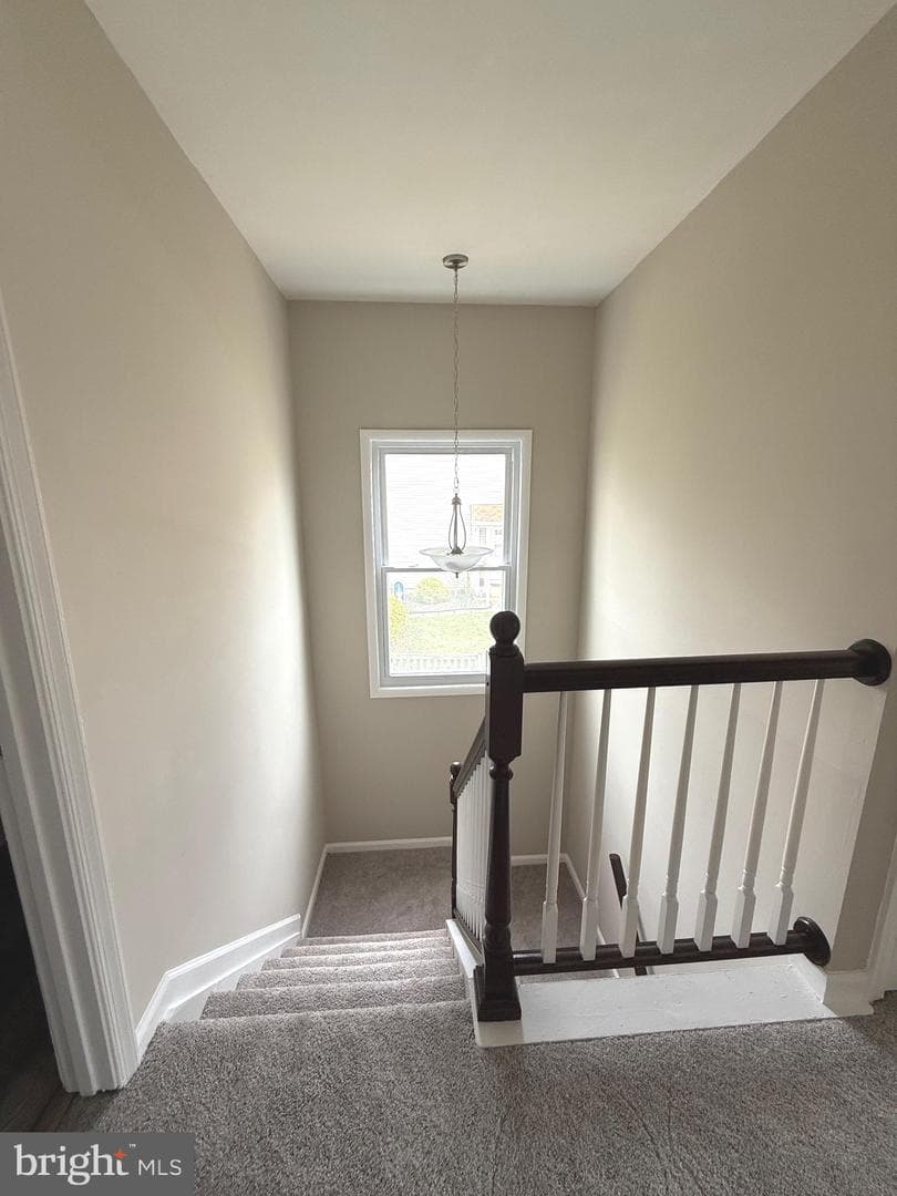 116 Stillmeadow Drive photo 22