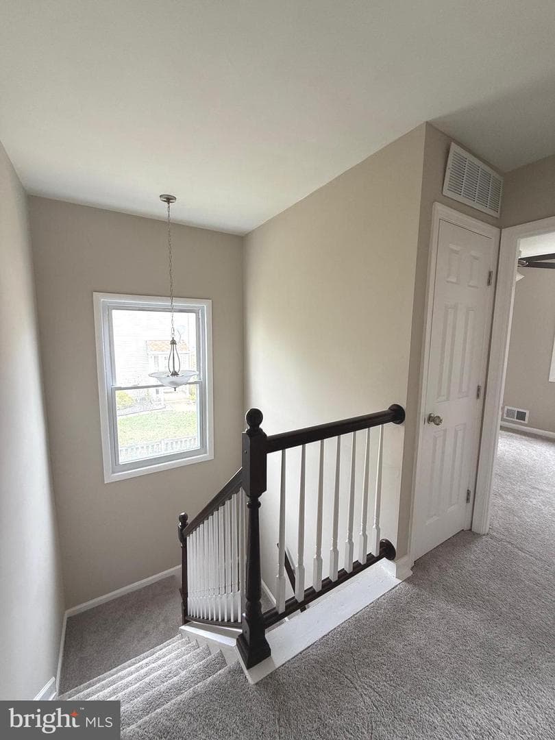 116 Stillmeadow Drive photo 23