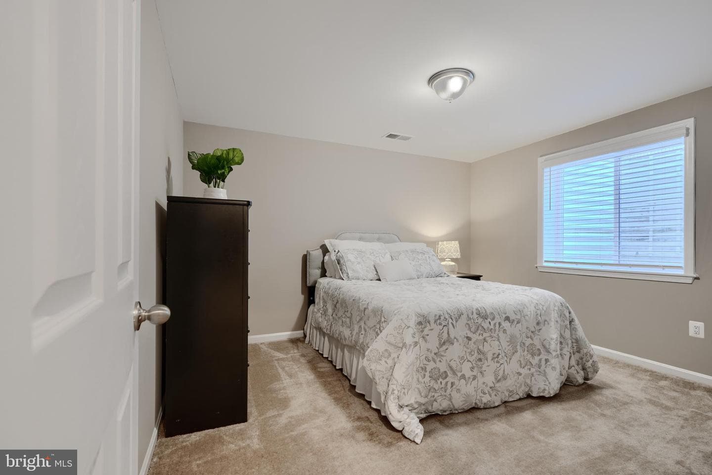 502 Tabasco Cat Court photo 36