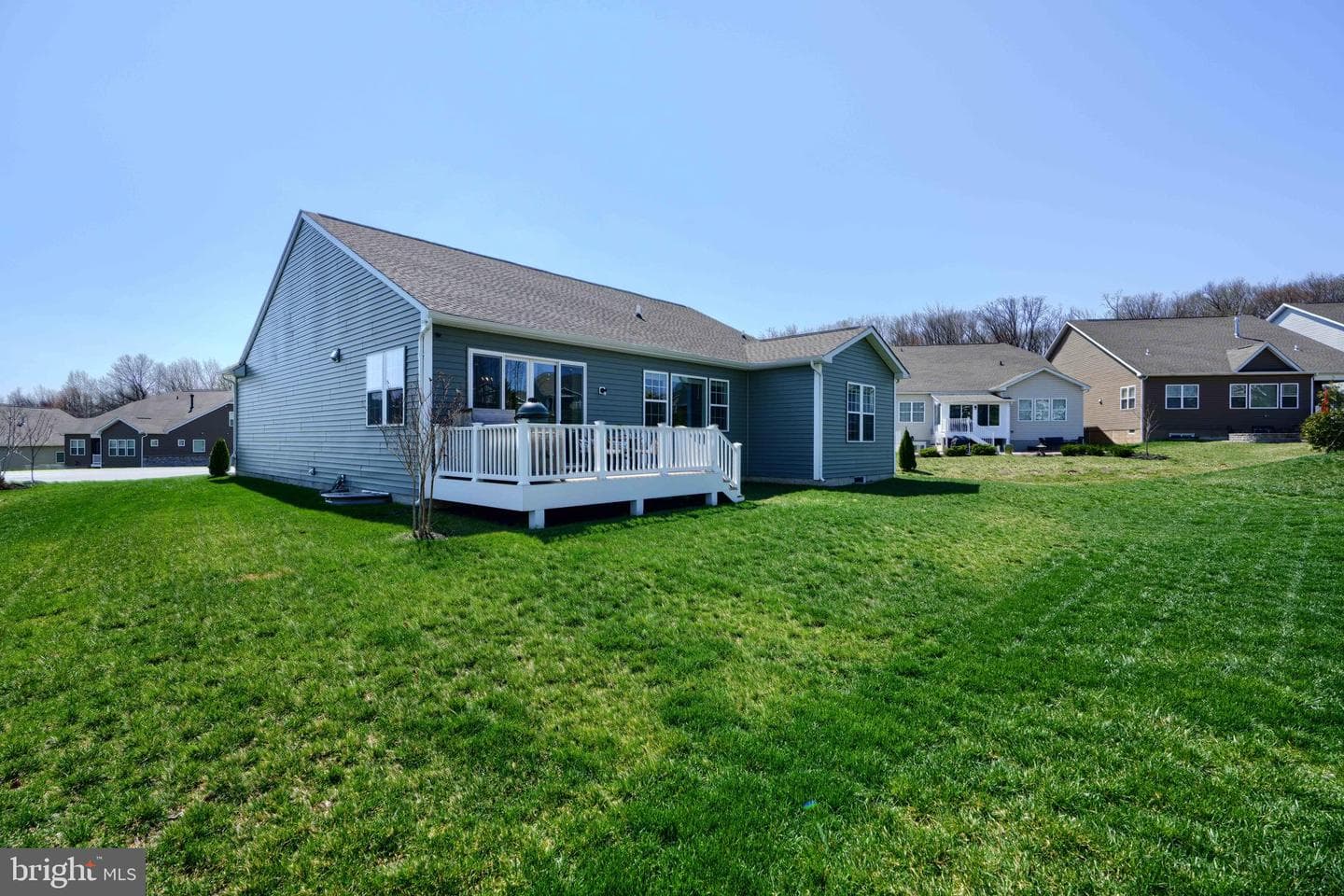 502 Tabasco Cat Court photo 40