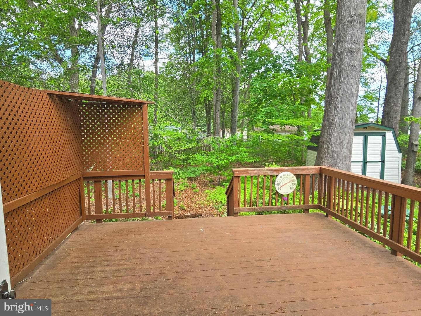 2805 White Rose Court photo 14