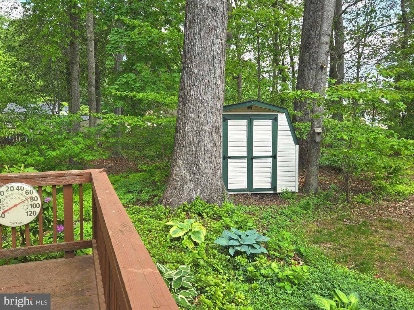 2805 White Rose Court photo 16