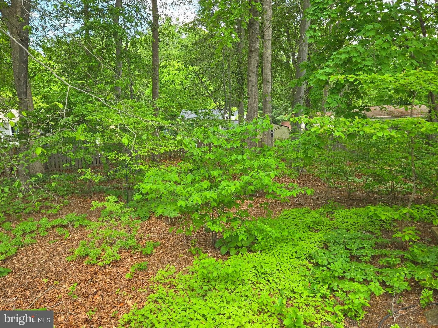 2805 White Rose Court photo 17
