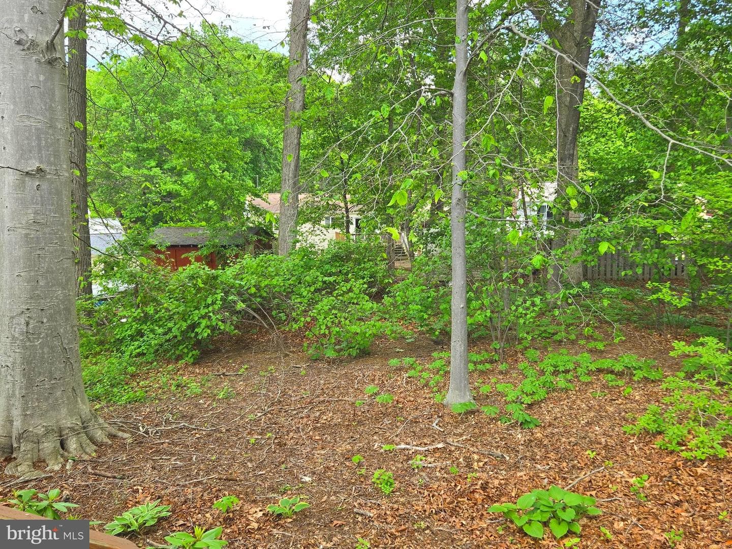 2805 White Rose Court photo 18