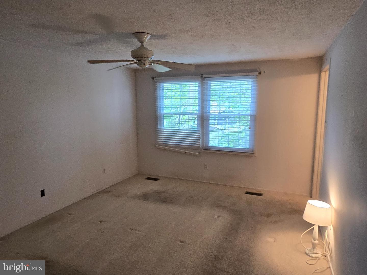 2805 White Rose Court photo 20