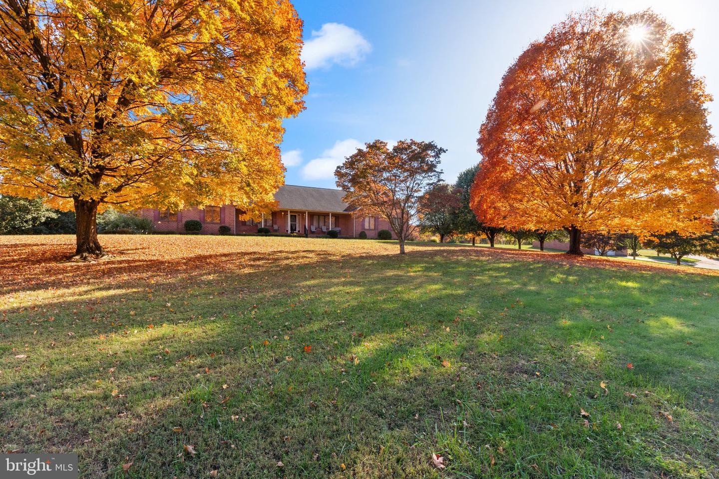 1299 Macton Road photo 4