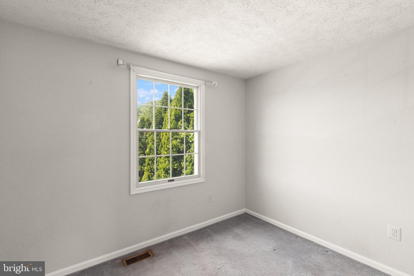 133 Laurel Woods Court photo 20