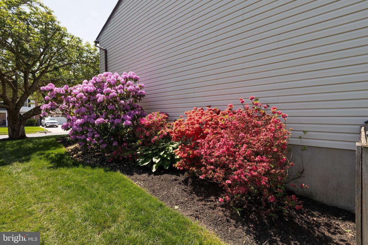 718 High Plain Drive photo 46