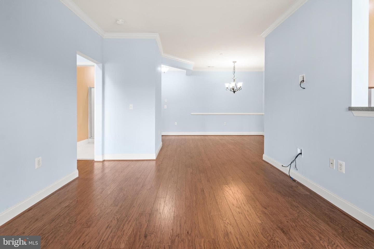 1604 Martha Court #404 photo 16