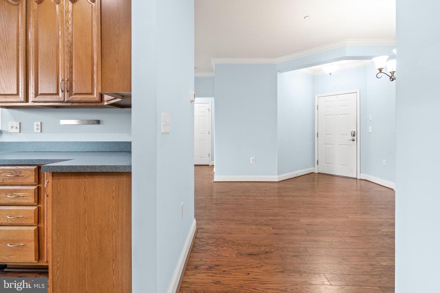 1604 Martha Court #404 photo 5