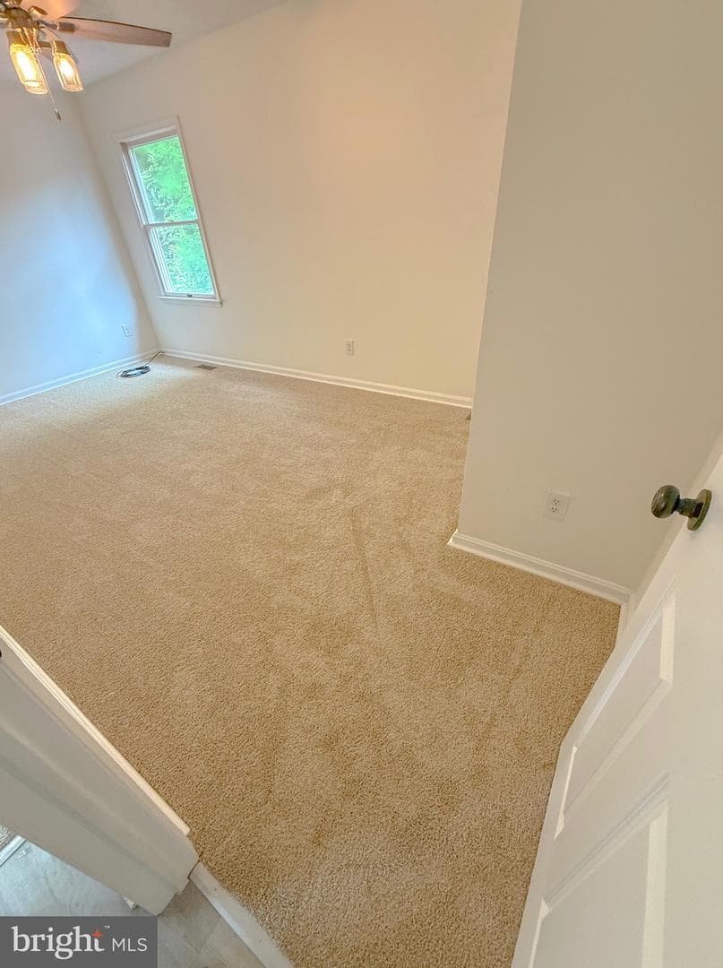 210 Mallard Court photo 22