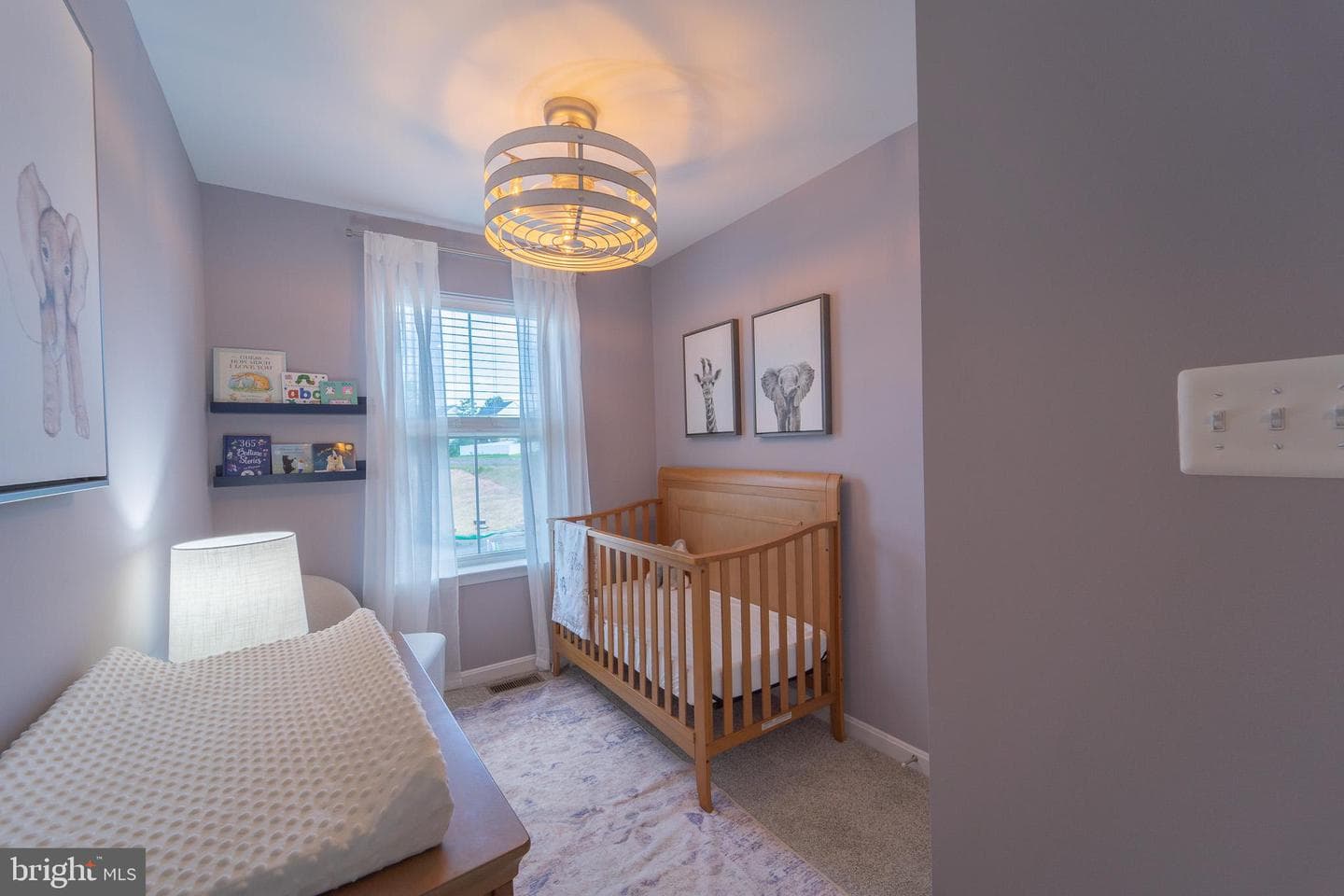 1069 Frizzen Court photo 21