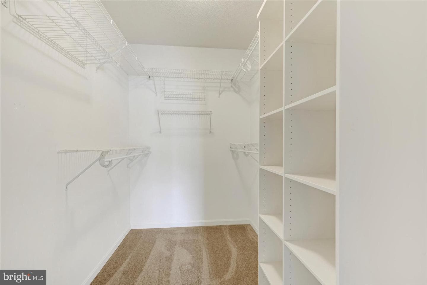 1304 Cranesbill Court #304 photo 15
