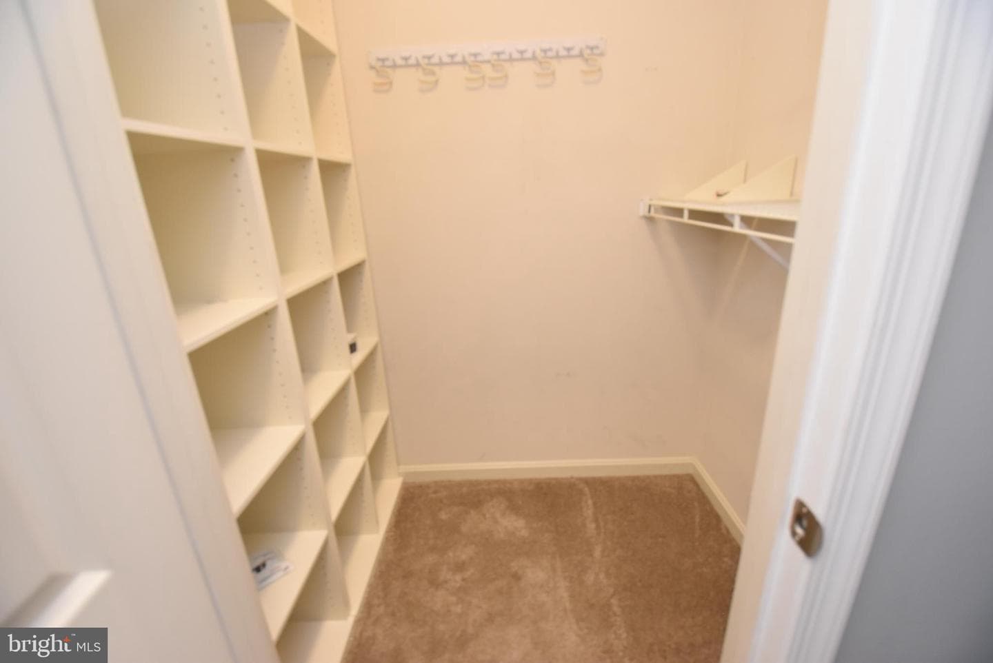 1304 Cranesbill Court #304 photo 18