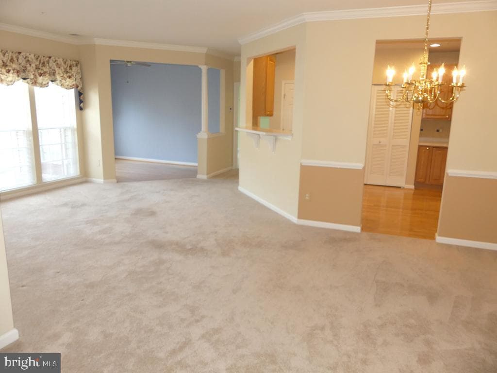 117 Nichols Street #5e photo 8