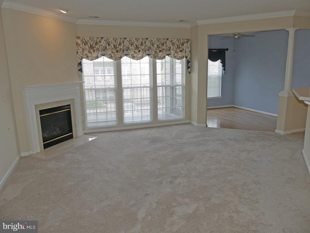 117 Nichols Street #5e photo 9