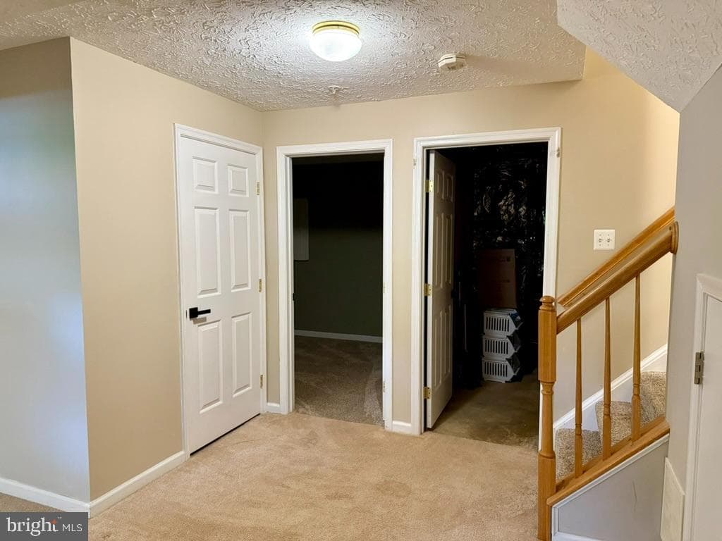 1097 Jeanett Way photo 22