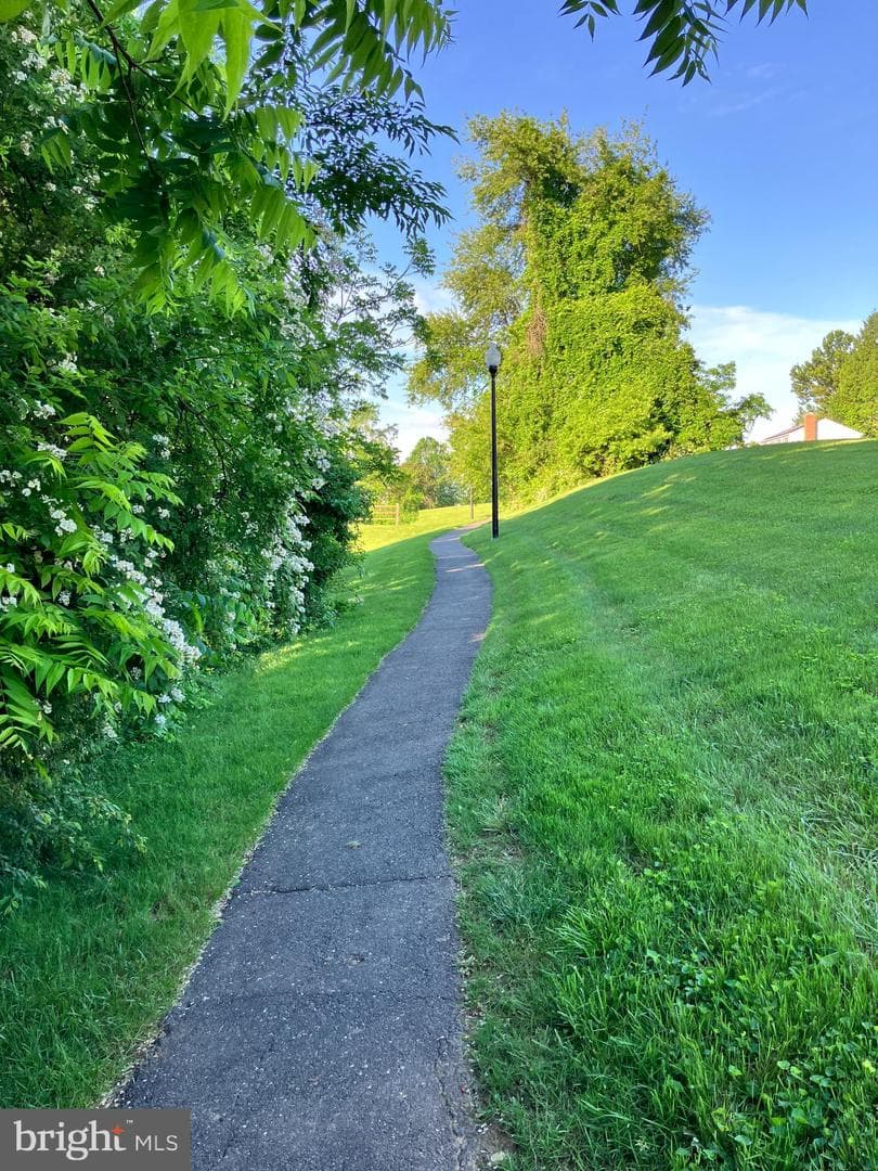 18 Huxley Circle photo 49