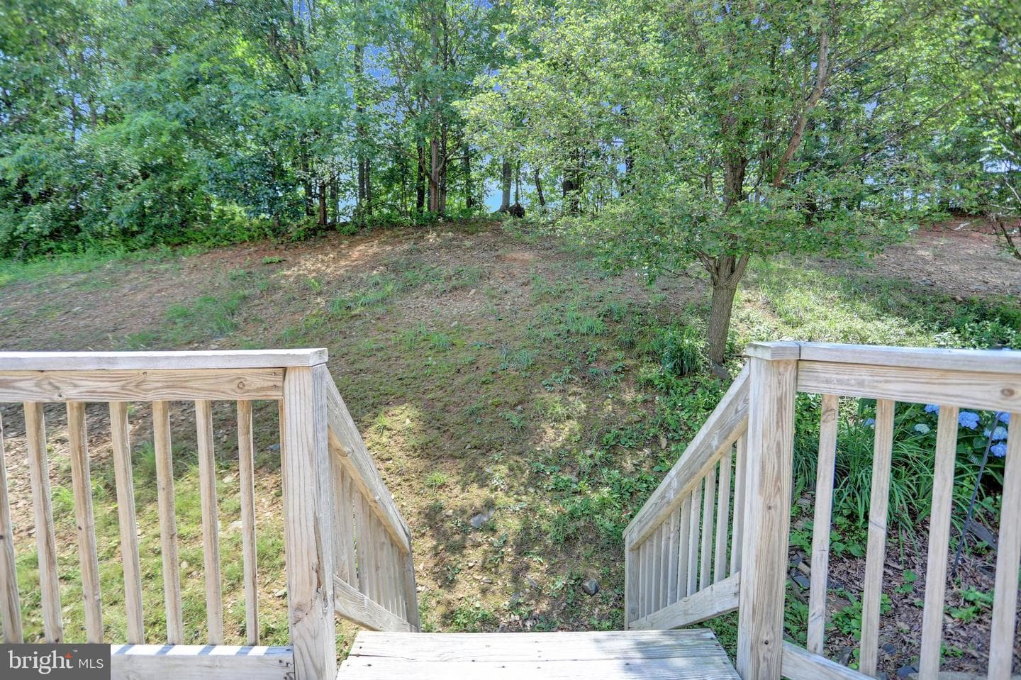 1938 Laurel Oak Drive photo 7