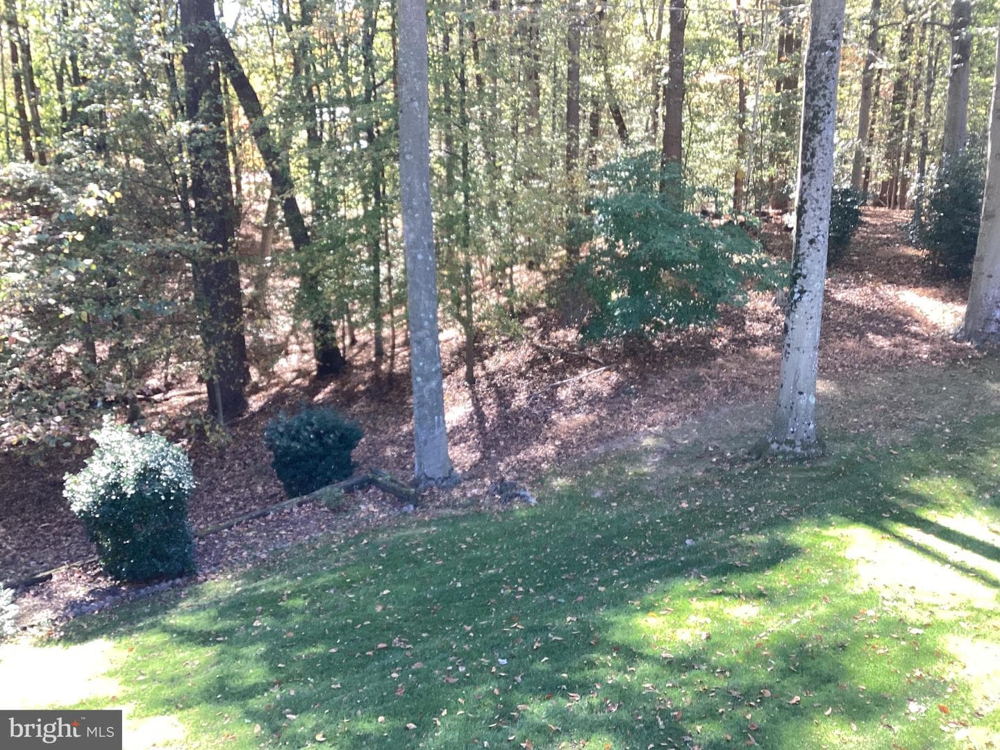 614 Cedarday Drive photo 5