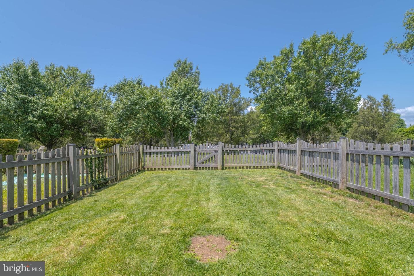540 Doefield Court photo 40