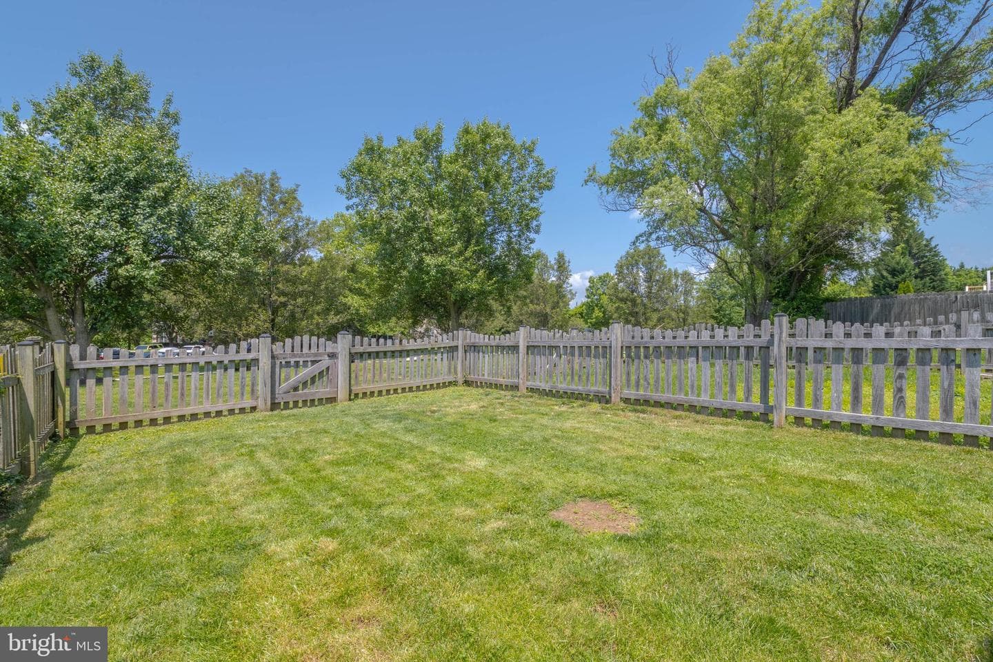 540 Doefield Court photo 41