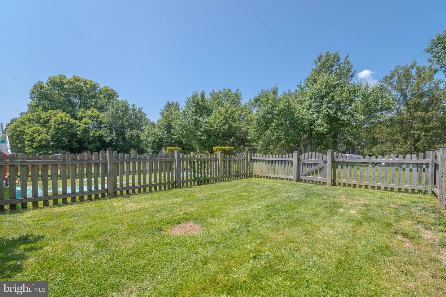 540 Doefield Court photo 42