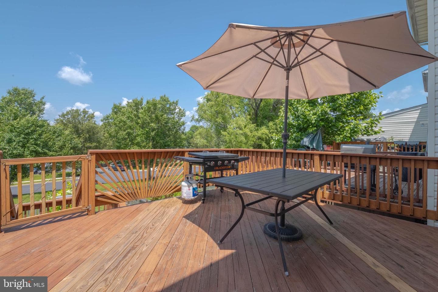 540 Doefield Court photo 45