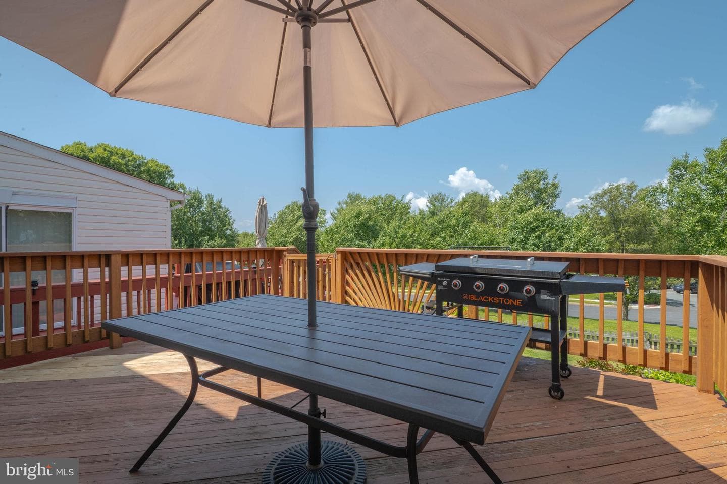 540 Doefield Court photo 46