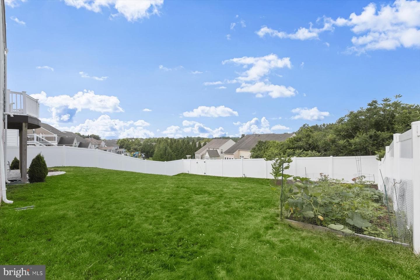 290 Henderson Road photo 46
