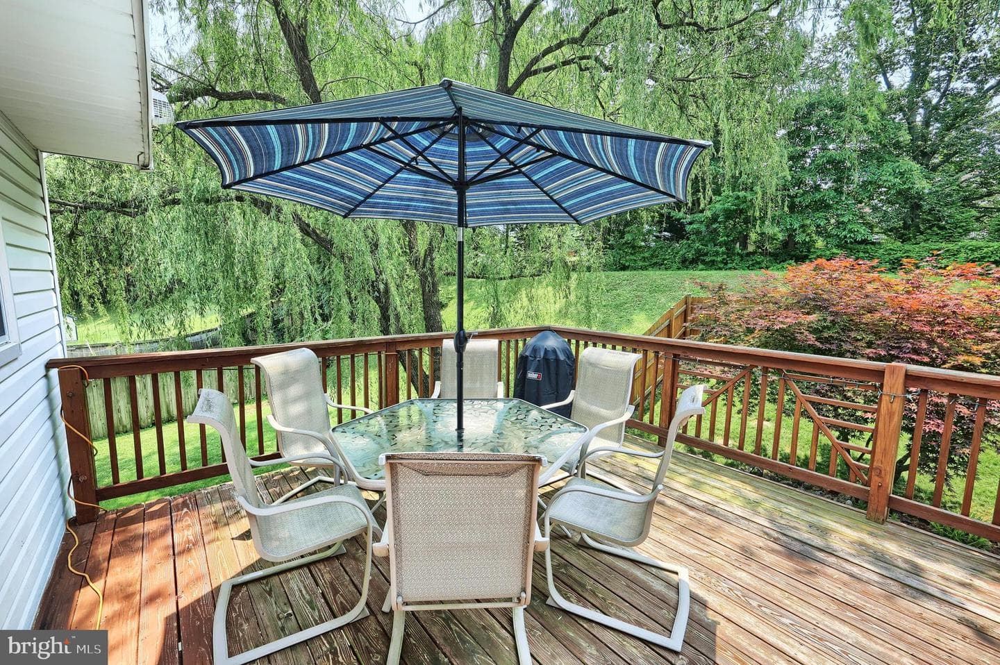 1232 Splashing Brook Drive photo 29