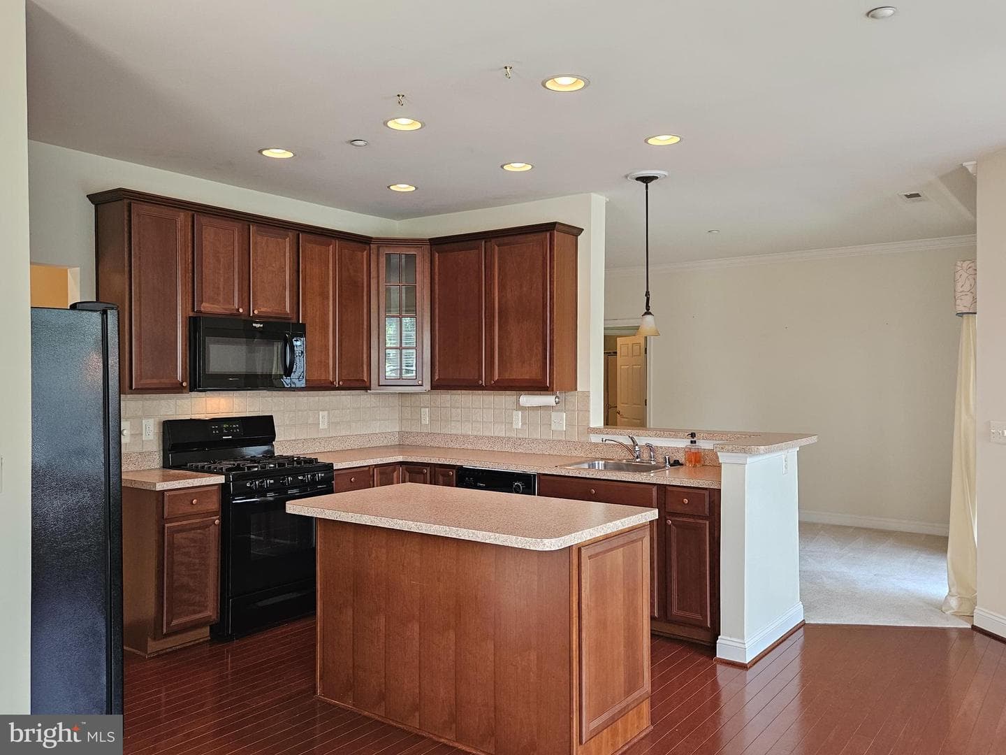 309 Tiree Court #203 photo 10