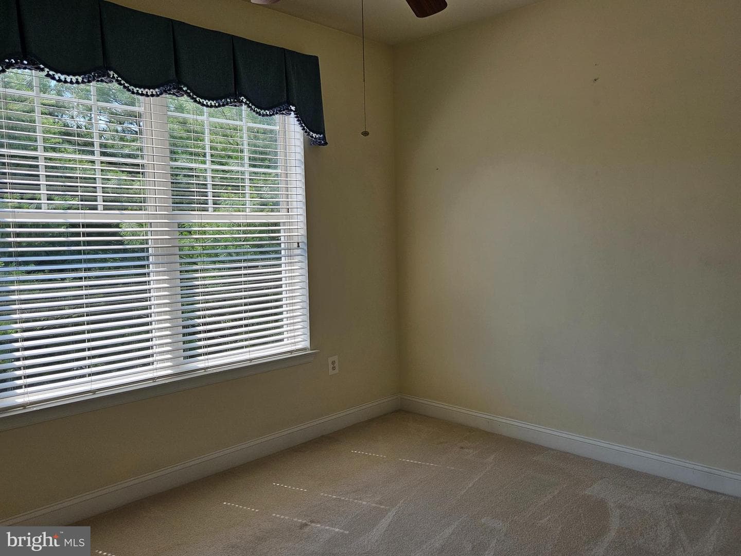 309 Tiree Court #203 photo 17