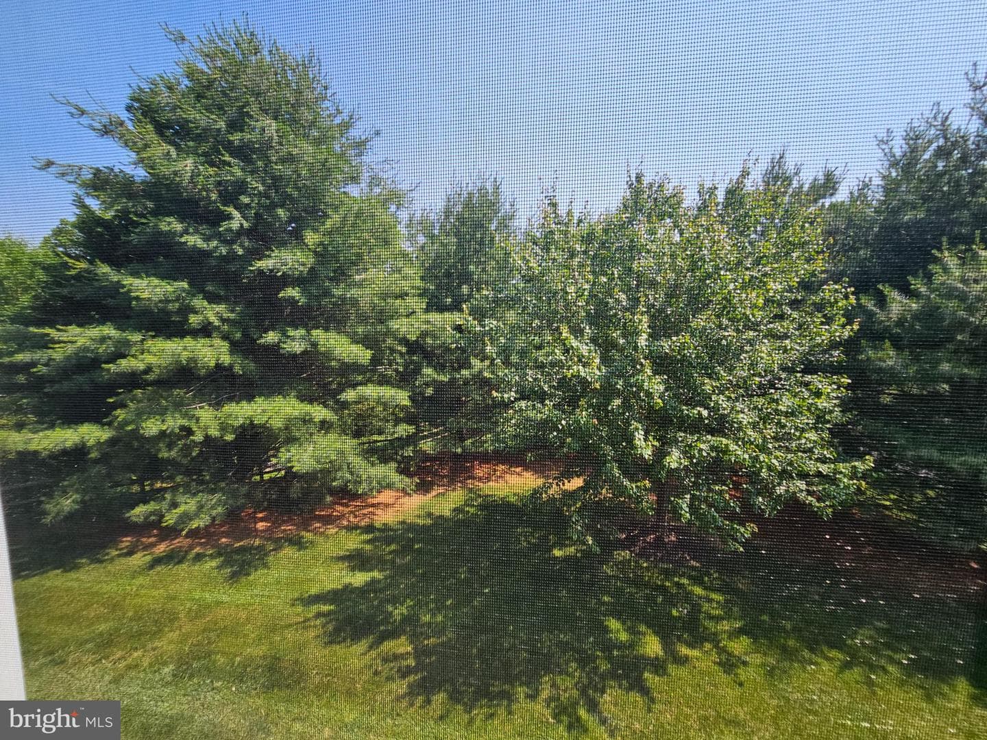 309 Tiree Court #203 photo 19