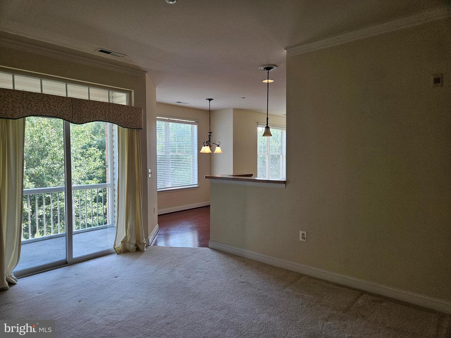 309 Tiree Court #203 photo 4