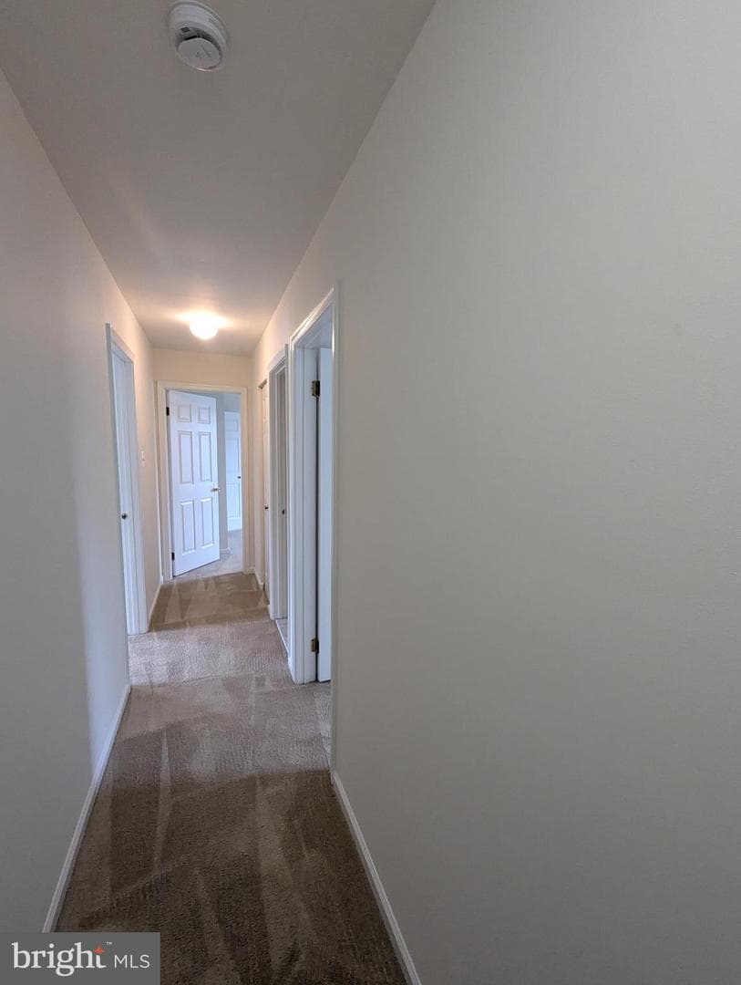 332 Hill Court photo 22
