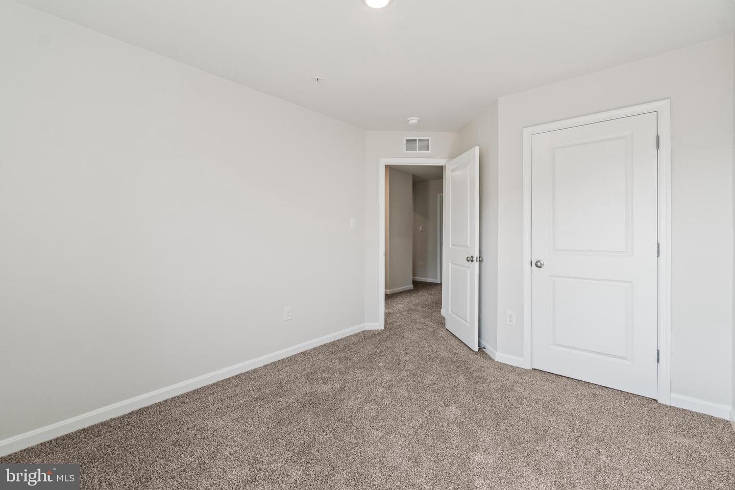 1005 Bunch Berry Drive photo 20
