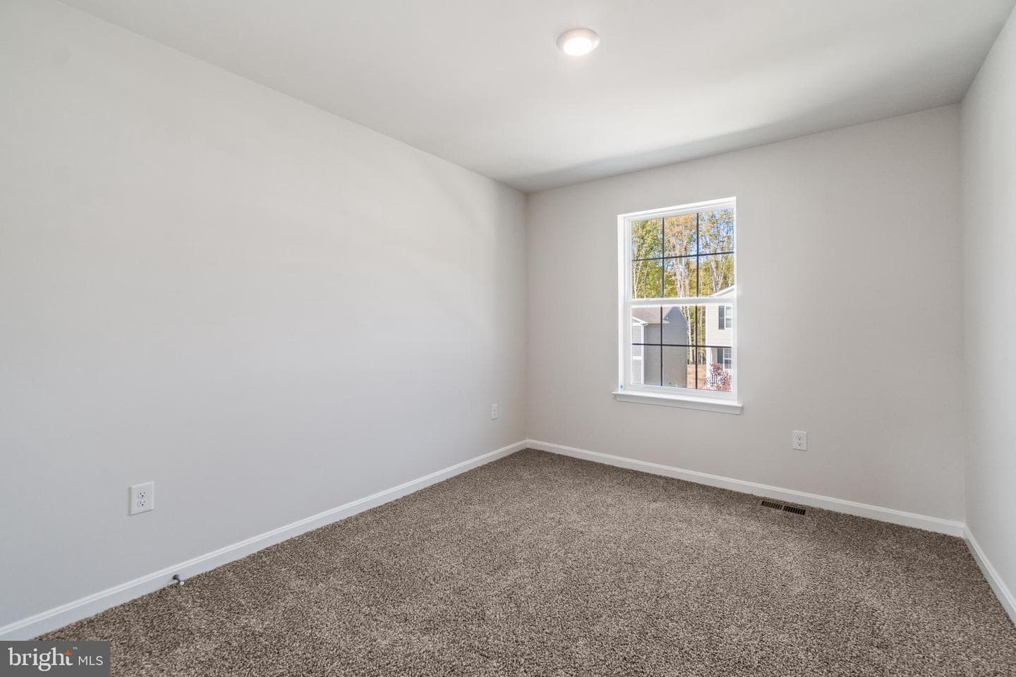 1005 Bunch Berry Drive photo 25