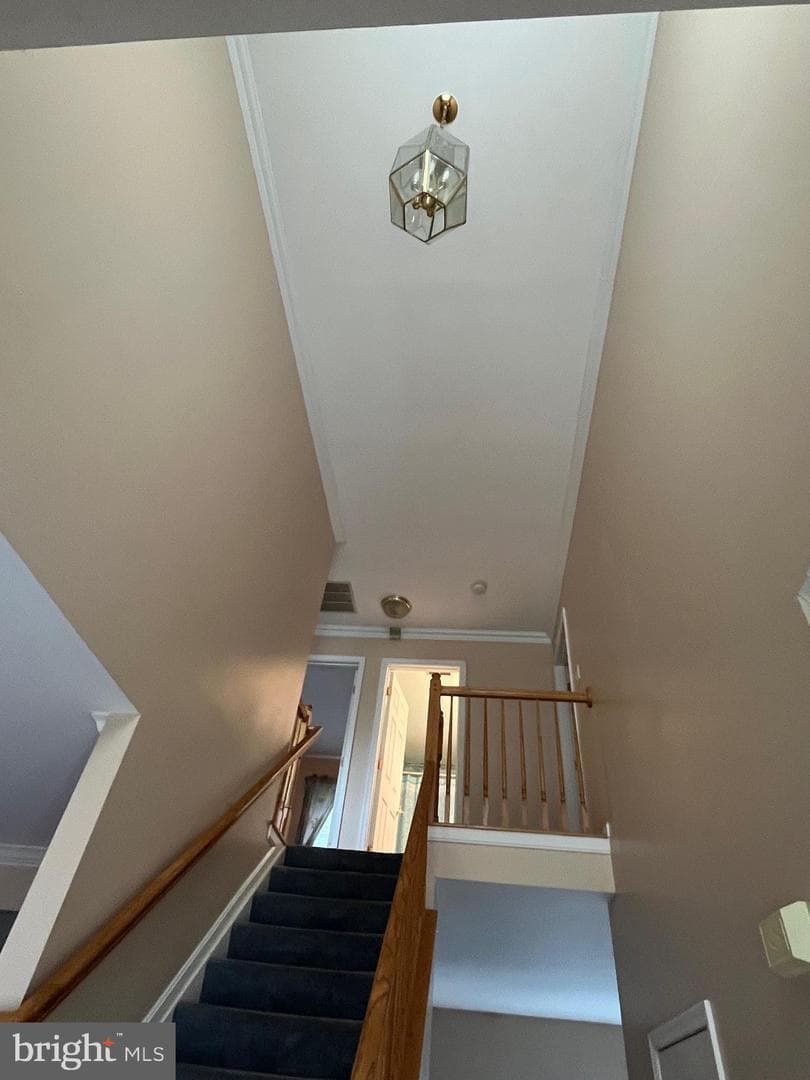 1206 Marston Drive photo 9