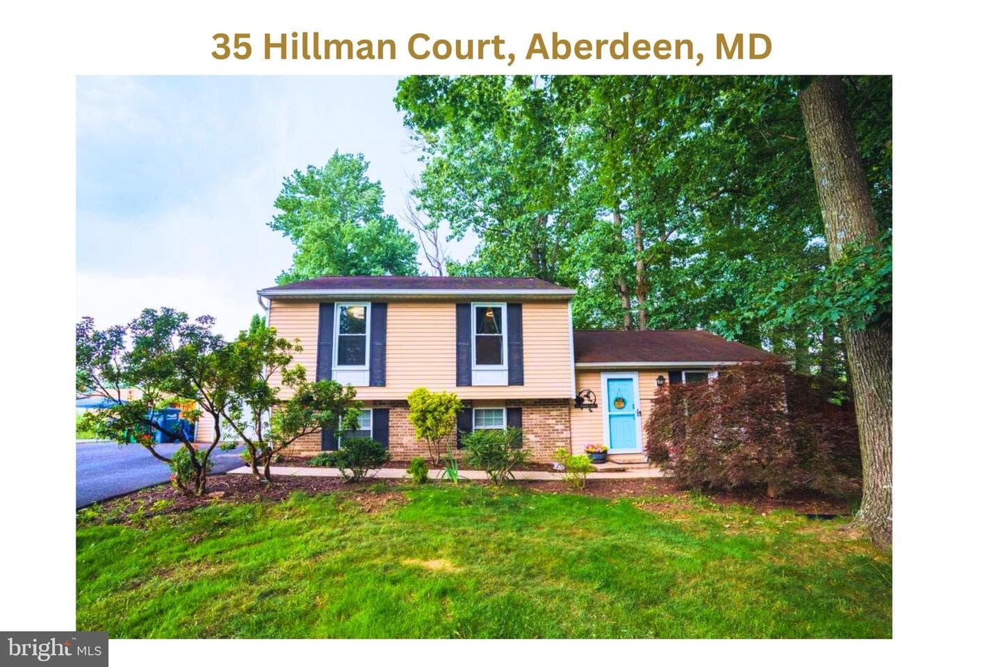 35 Hillman Court photo 4