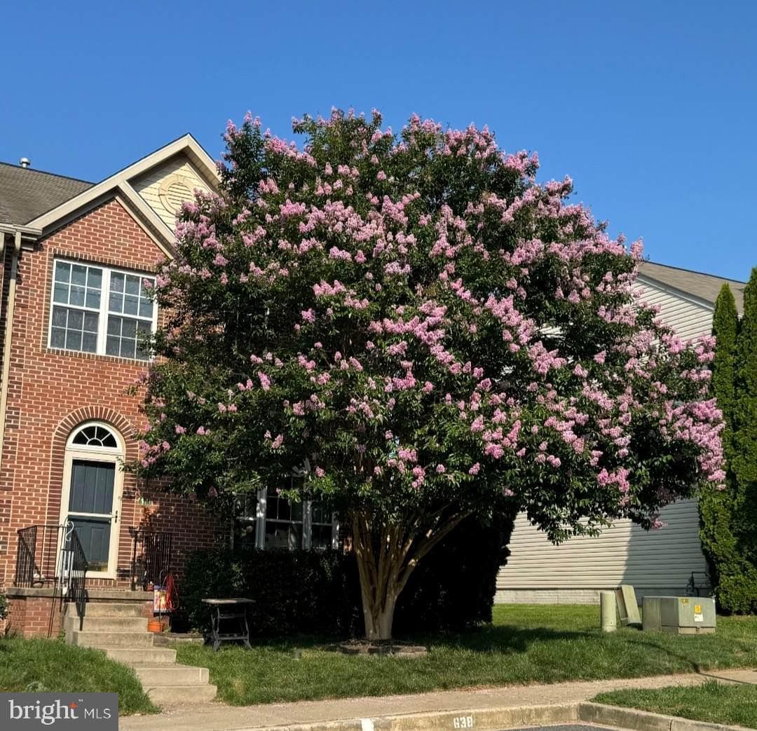 638 Berwick Court photo 1
