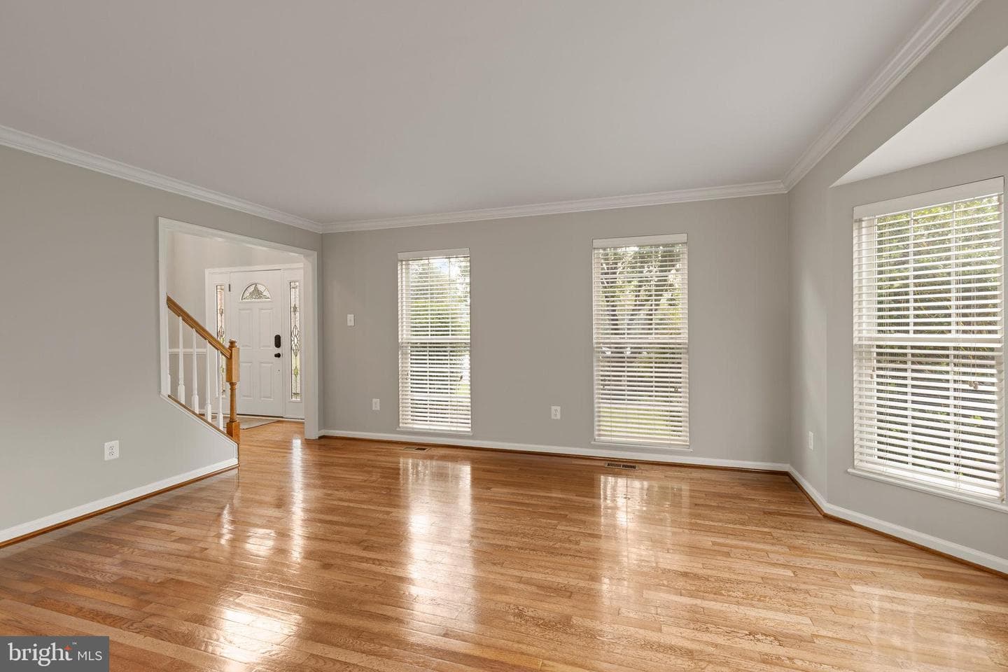 501 Chesley Court photo 18