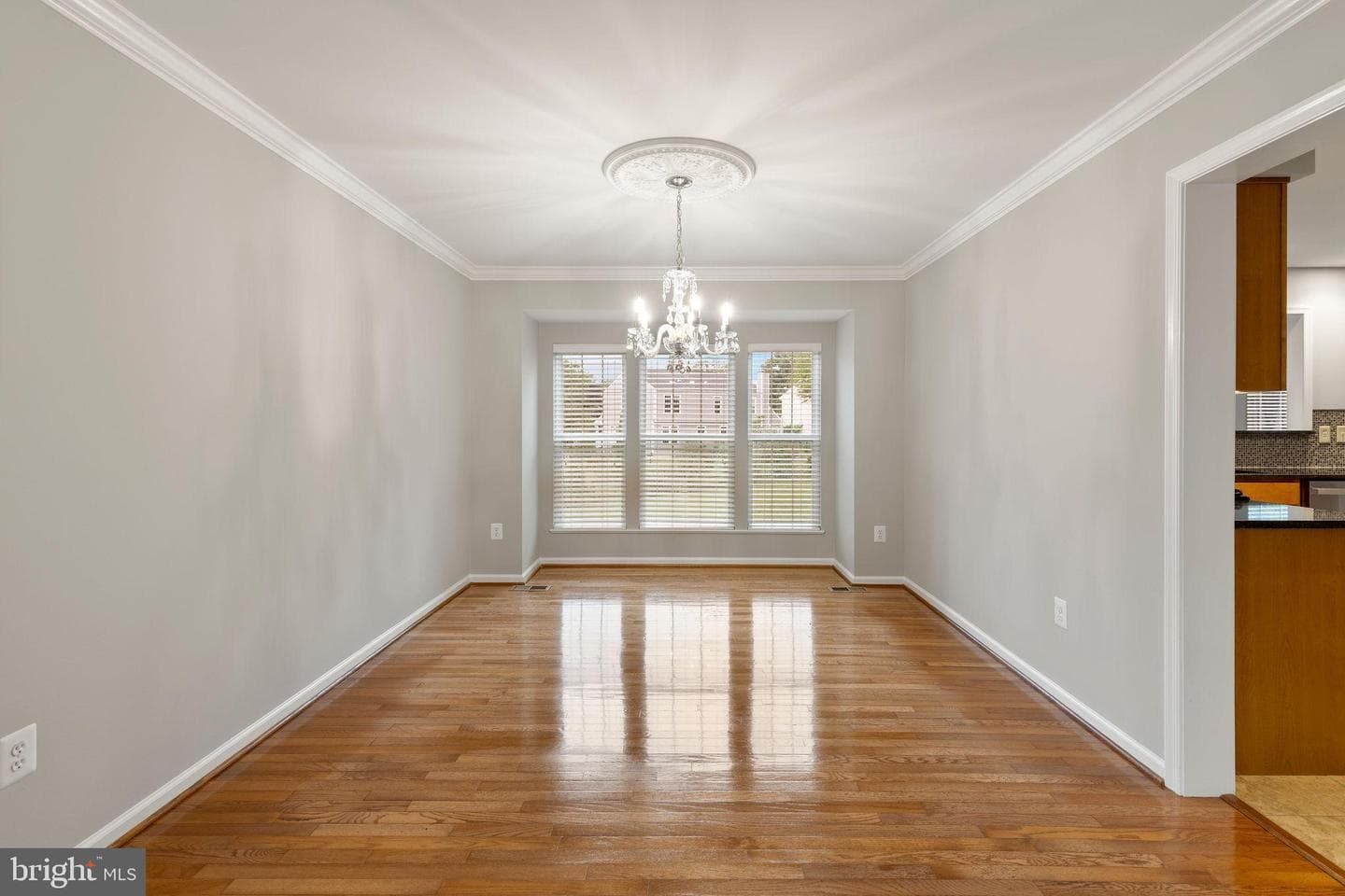 501 Chesley Court photo 21