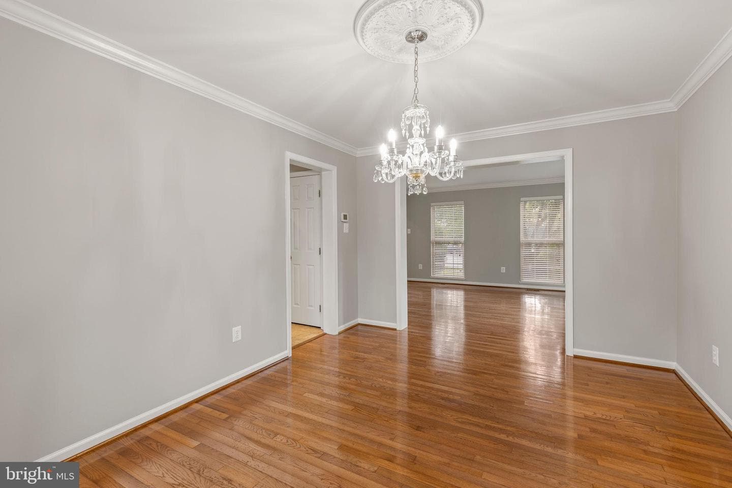 501 Chesley Court photo 22