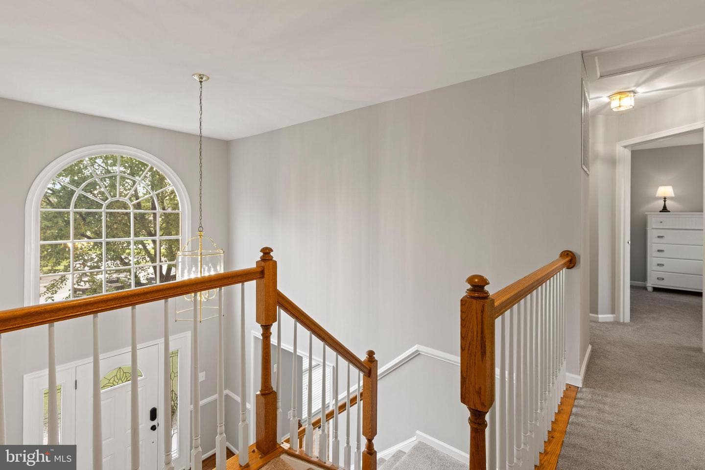 501 Chesley Court photo 26