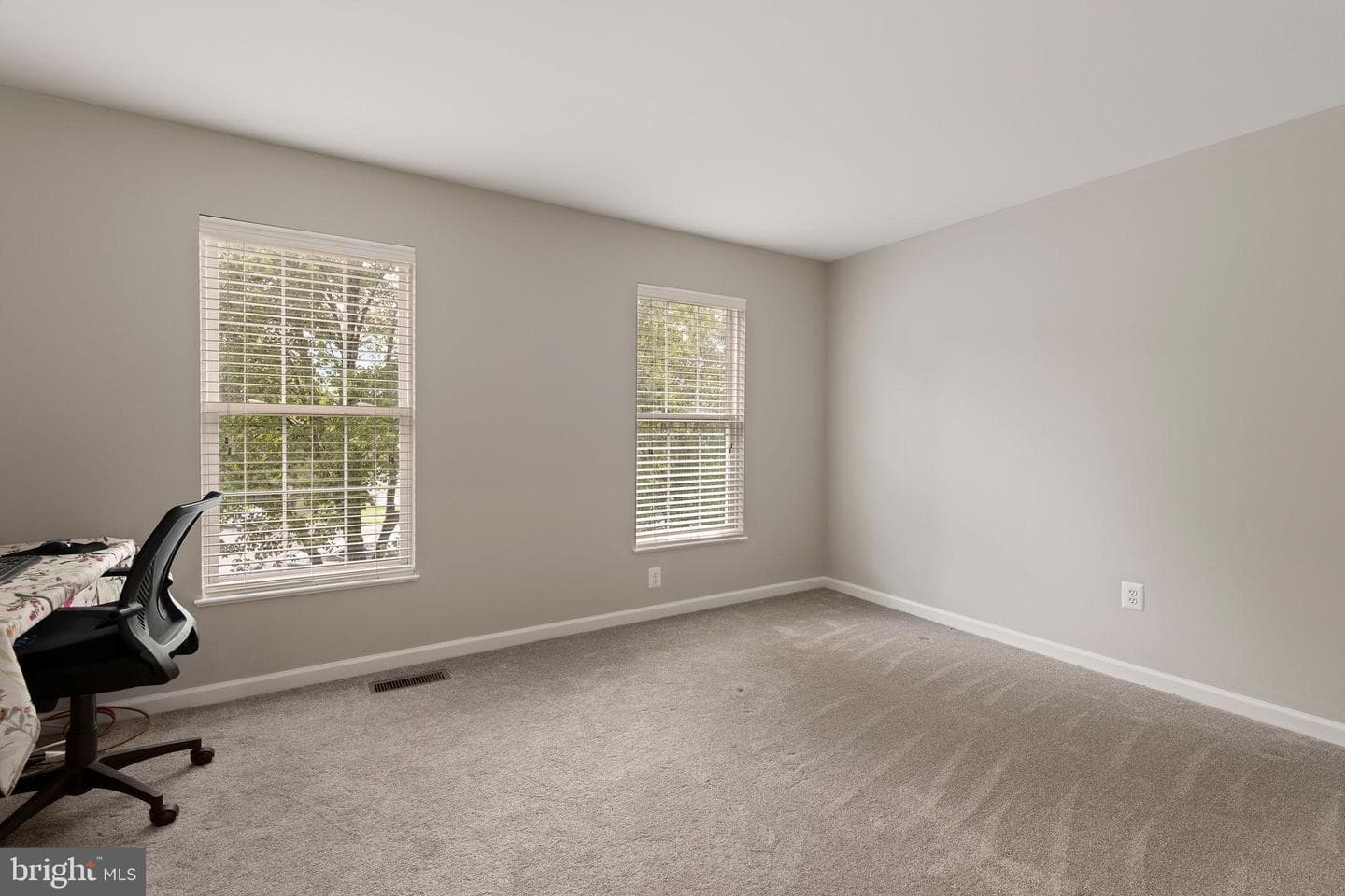 501 Chesley Court photo 36
